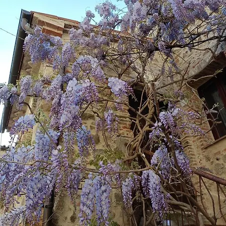 Anita House * Montemerano
