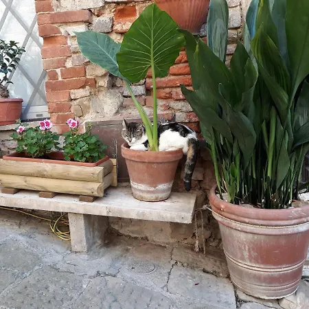 Anita House * Montemerano